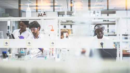 A group of scientists working in the laboratory