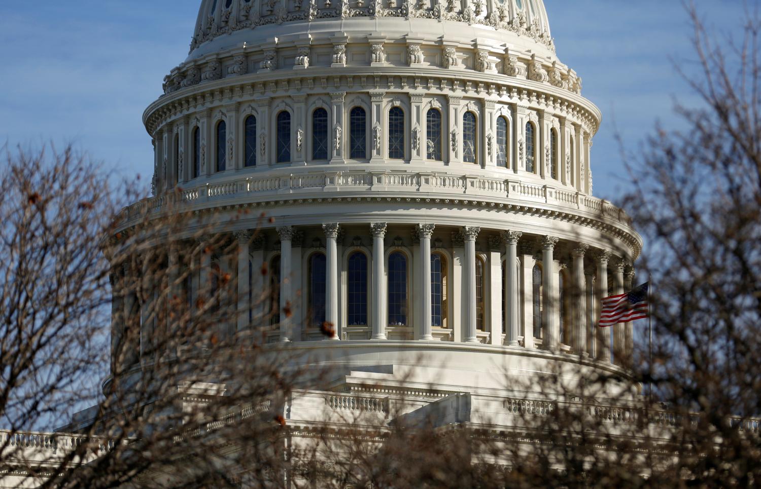 The U.S. Capitol is seen from behind trees.