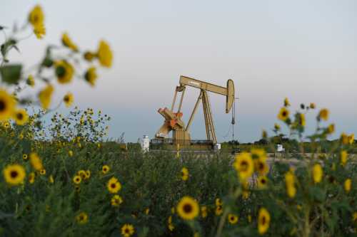 A pump jack operates at a well site leased by Devon Energy Production Company near Guthrie, Oklahoma September 15, 2015. REUTERS/Nick Oxford - TM3EB9F0WM801