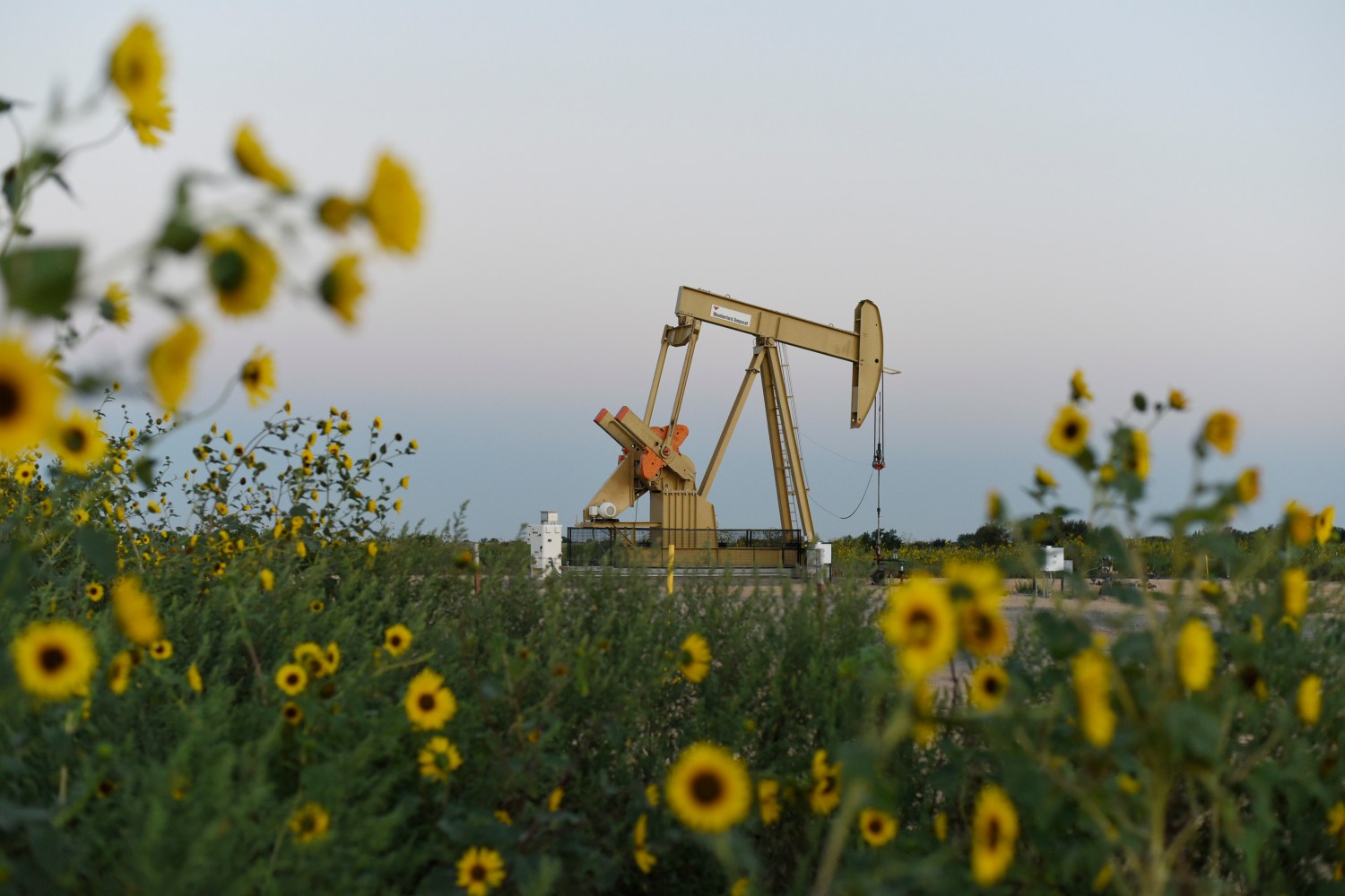 A pump jack operates at a well site leased by Devon Energy Production Company near Guthrie, Oklahoma September 15, 2015. REUTERS/Nick Oxford - TM3EB9F0WM801