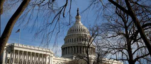 The U.S. Capitol building is seen from behind trees.