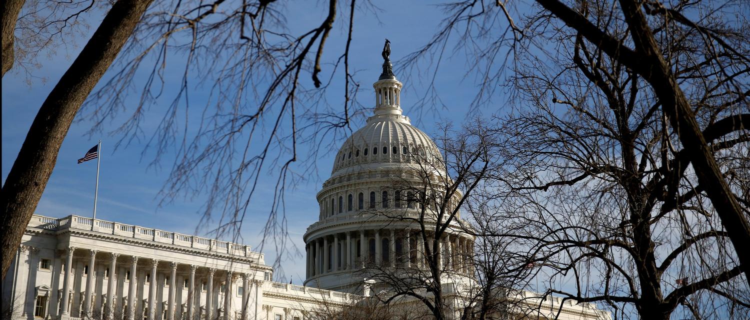 The U.S. Capitol building is seen from behind trees.