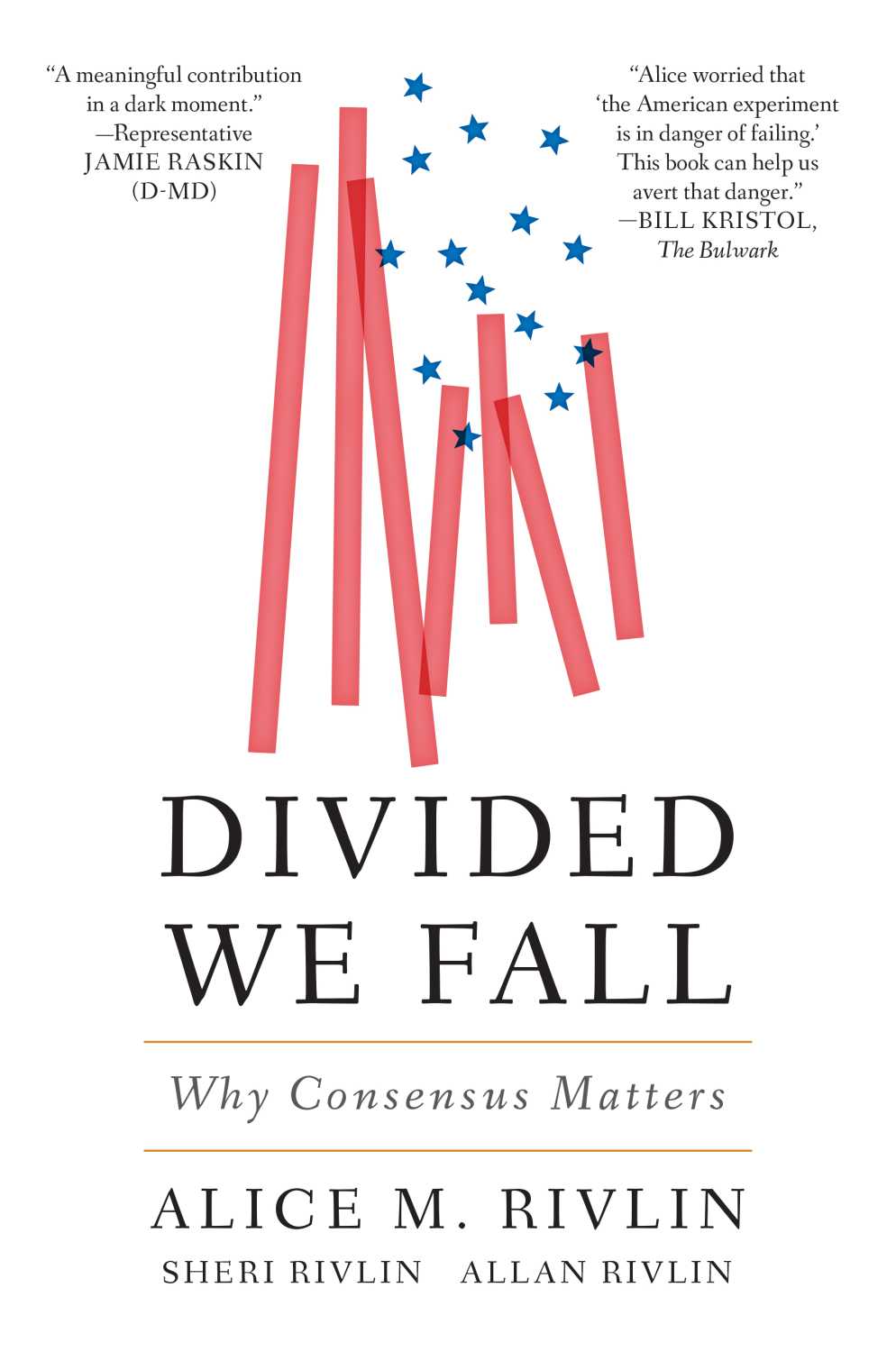 Divided We Fall book cover