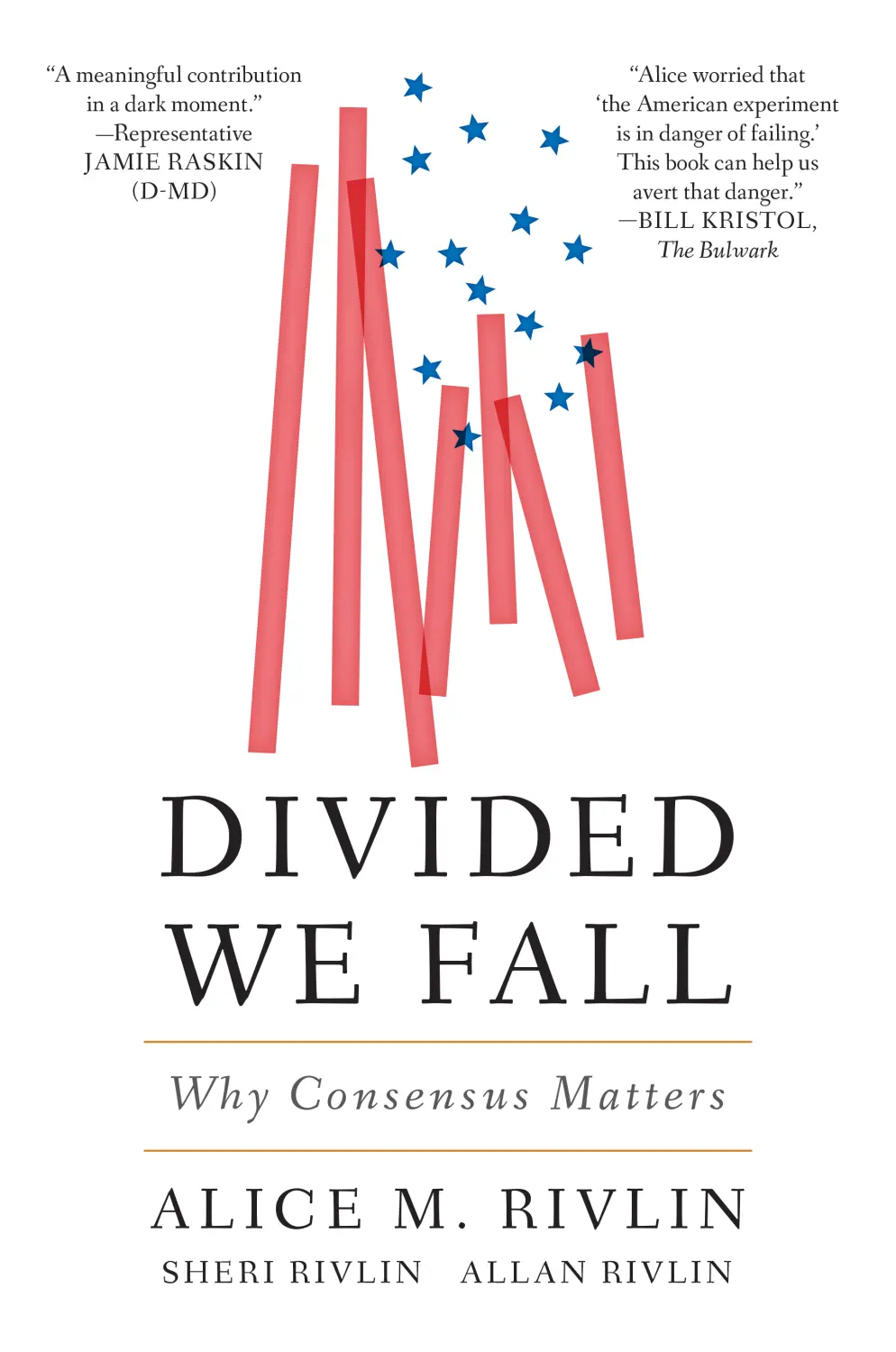 Divided We Fall book cover