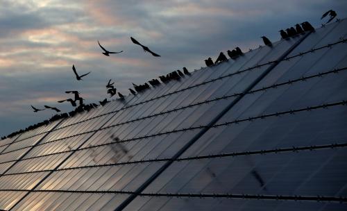 Ravens sit on solar panels at the Abakan solar electric station owned by Russian electricity firm EuroSibEnergo of En+ Group, in a suburb of the Siberian town of Abakan, in the Republic of Khakassia, Russia September 26, 2017. Picture taken September 26, 2017