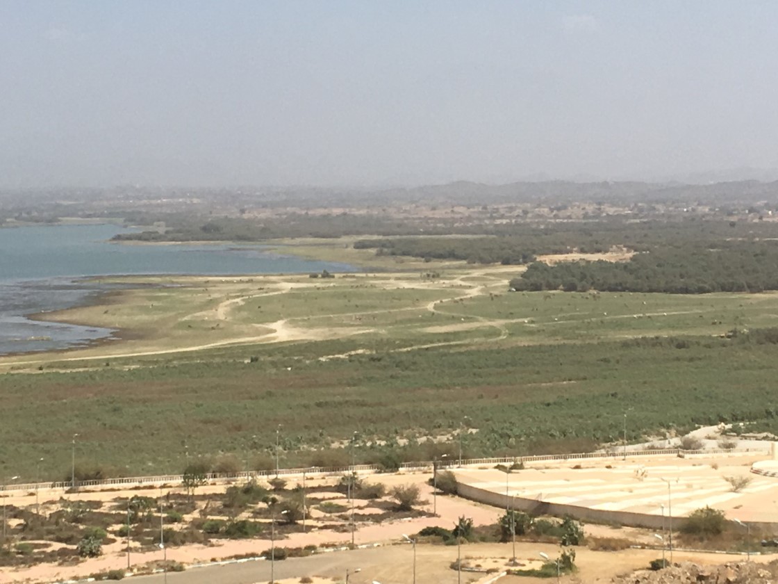 Not too far inland from Jizan, foothills rise to tall mountains where they grow mangos, guava, and coffee in terraces. (The mountains, on the horizon in this photo, are invisible through the haze.)The wadi (valley) that comes down from the mountains is dammed here at Al Aridhah, and the water is used for irrigation. The place was full of birds and butterflies, acacia trees and grazing cows. Sadly, the local police would not allow us to take photos near or on the dam (critical infrastructure protection, I guess), so you can only see this faraway view from our lookout point.