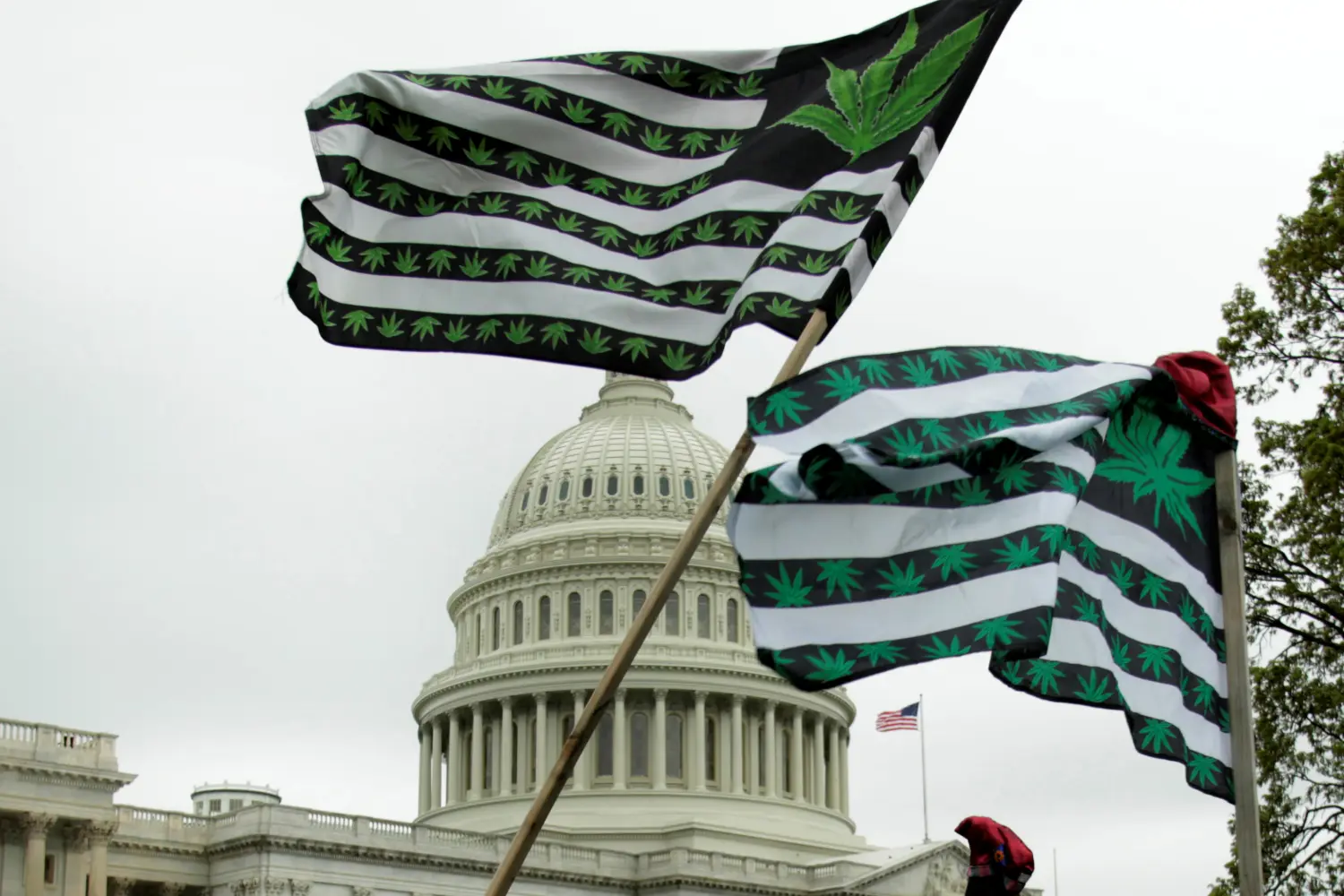 marijuana flags