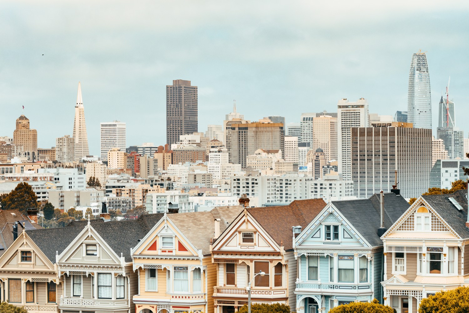 painted ladies victorian houses and san francisco skyline at background