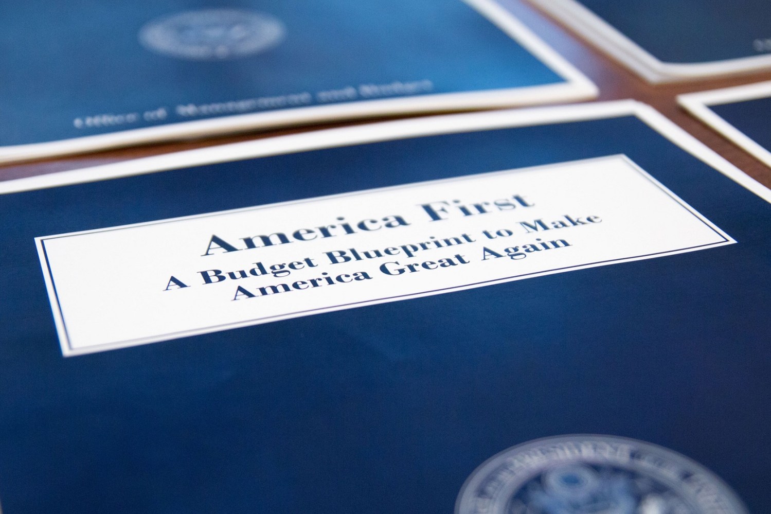 America First Budget