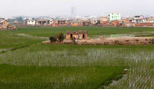 A house stands within a paddy field in Madagascar's capital Antananarivo, October 23, 2013. Voters in Madagascar's presidential election on Friday desperately hope for an end to a five-year political crisis that has scared off investors and severely damaged the economy, but there is little optimism they will get their wish. REUTERS/Thomas Mukoya (MADAGASCAR - Tags: POLITICS ELECTIONS SOCIETY) - GM1E9AO03RO01