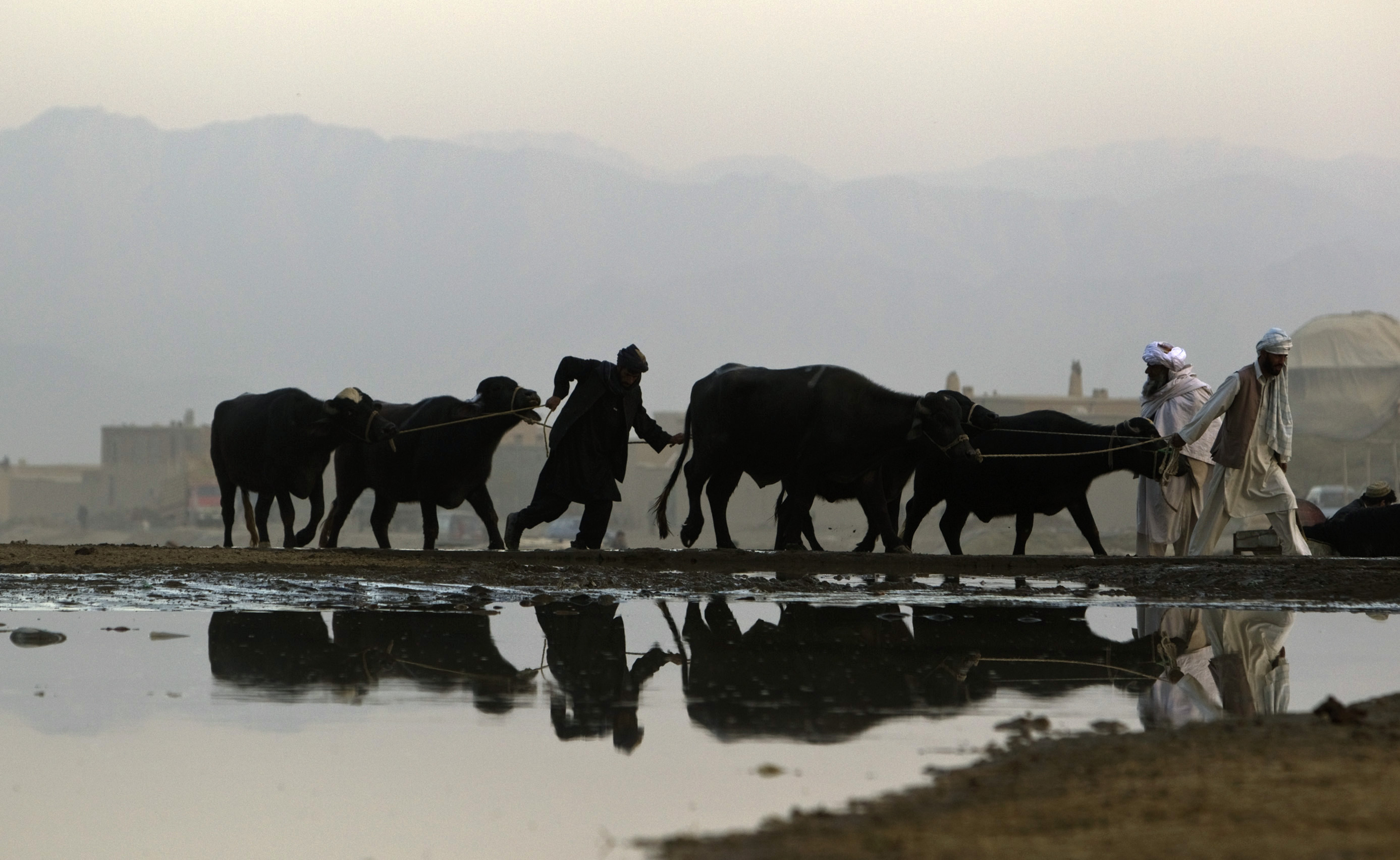 From fragility to resilience: strengthening USAID’s self-reliance approach