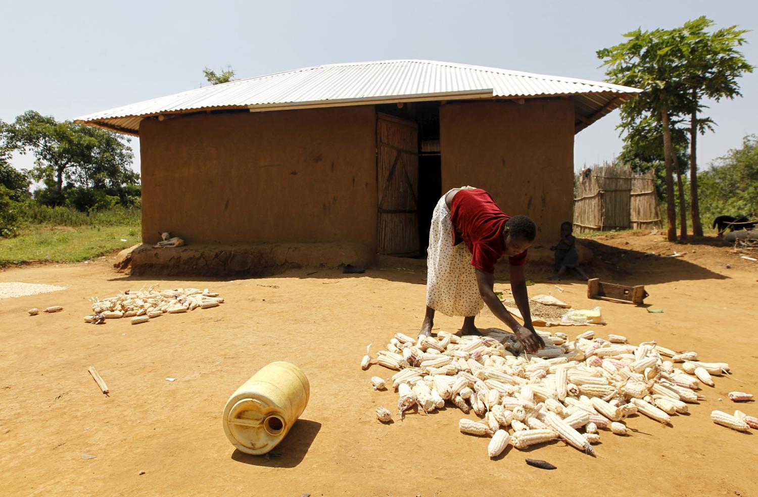 Mary Adhiambo, dries her maize in the sun outside her house in the U.S. President Barack Obama's ancestral village of Nyang'oma Kogelo, west of Kenya's capital Nairobi, July 15, 2015. Adhiambi, 25, said they benefited from Barack Obama's Presidency as they have well tarmacked roads and electricity was connected to the village. "We received grants to build houses and shelter from the harsh weather as an indirect benefit from President Obama's leadership" she said. President Obama visits Kenya and Ethiopia in July, his third major trip to Sub-Saharan Africa after travelling to Ghana in 2009 and to Tanzania, Senegal and South Africa in 2011. He has also visited Egypt, in North Africa, and South Africa for Nelson Mandela's funeral. Obama will be welcomed by a continent that had expected closer attention from a man they claim as their son, a sentiment felt acutely in the Kenyan village where the 44th U.S. president's father is buried. Picture taken July 15, 2015. REUTERS/Thomas Mukoya - GF10000168062