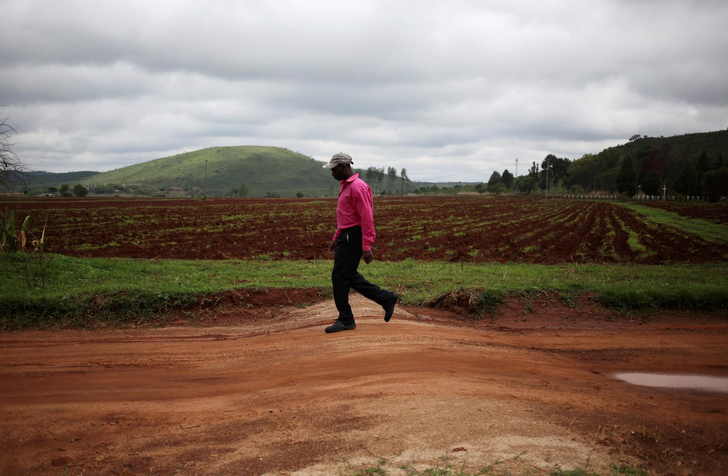 A man walks past a field used to grow maize in Chishawasha village, 27 km east of the capital Harare, Zimbabwe, November 26, 2017. REUTERS/Siphiwe Sibeko - RC15E67F4190