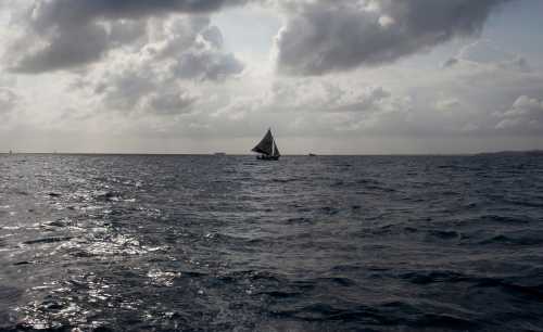 A sailboat navigates offshore of Ile-a-Vache island, off Haiti's south coast, March 25, 2014. For decades the mostly dirt-poor residents of the small island of Ile-a-Vache off Haiti's south coast lived in anonymity, until last year when the government claimed the 20-square-mile former pirate lair as a "public utility," potentially stripping the 14,000 residents of their land to develop a high-end tourist resort. Picture taken March 25, 2014.   REUTERS/stringer (HAITI - Tags: TRAVEL POLITICS SOCIETY BUSINESS) - GM1EA4616KT01