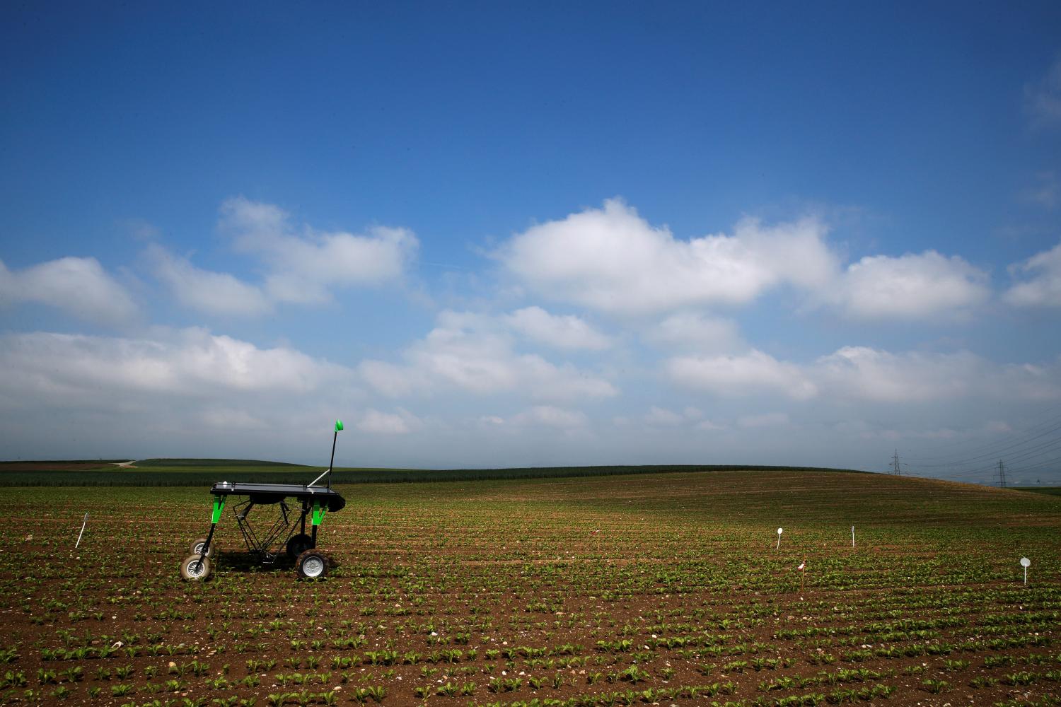 The prototype of an autonomous weeding machine by Swiss start-up ecoRobotix is pictured during tests on a sugar beet field near Bavois, Switzerland May 18, 2018. Picture taken May, 18, 2018. REUTERS/Denis Balibouse - RC18908CB500