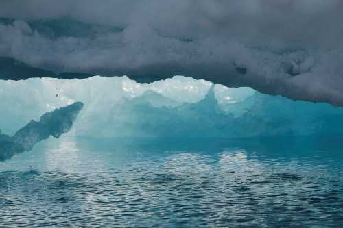 Water melts off of an iceberg as it floats in a fjord near Tasiilaq, Greenland, June 16, 2018.  REUTERS/Lucas Jackson - RC185A23C410