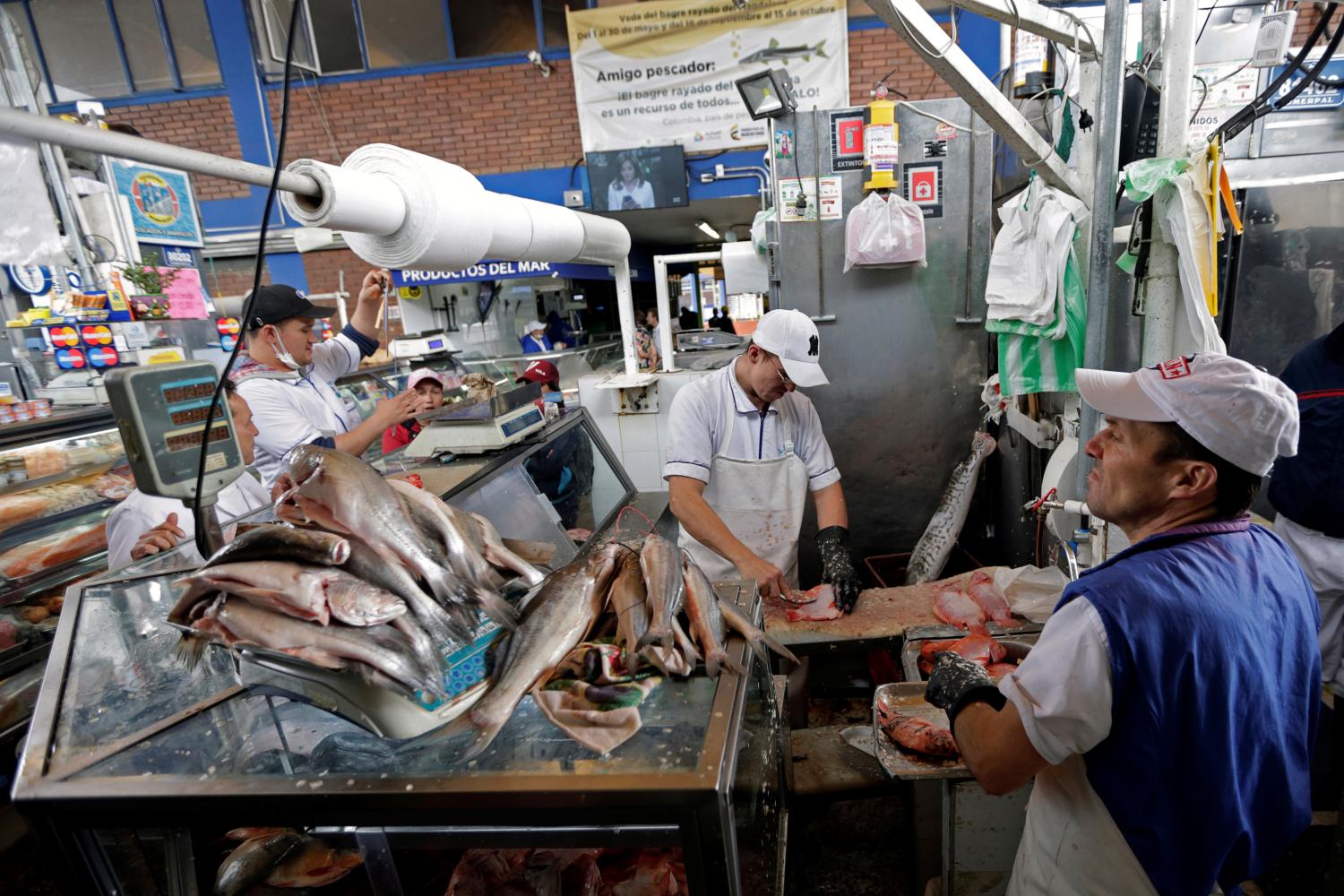 Workers clean some fish in the Paloquemao market square in Bogota, Colombia October 30, 2018. Picture taken October 30, 2018. REUTERS/Luisa Gonzalez - RC157F8BB830