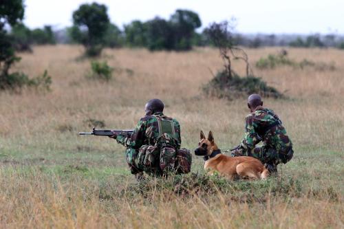 A special unit of wildlife rangers demonstrate an anti-poaching exercise ahead of the Giants Club Summit of African leaders and others on tackling poaching of elephants and rhinos, Ol Pejeta conservancy near the town of Nanyuki, Laikipia County, Kenya Photographer/Date: Siegfried Modola/April 2016