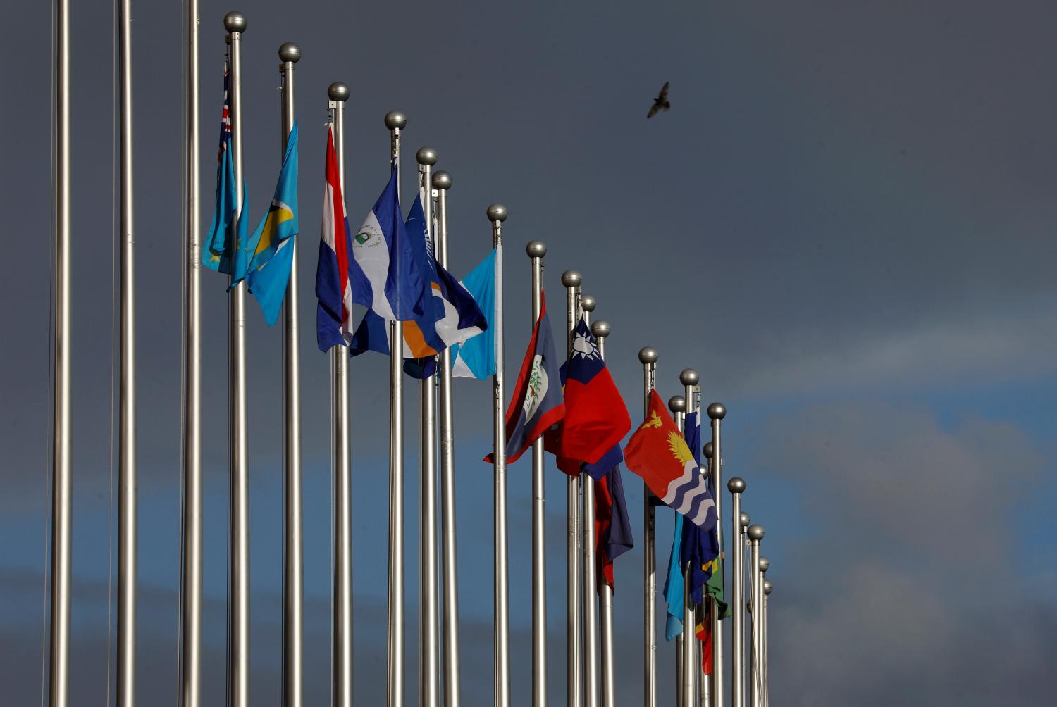 A bird flies around the flagpoles of the national flags inside the Diplomatic Quarter, where Taiwan ally embassies located, in Taipei, Taiwan.