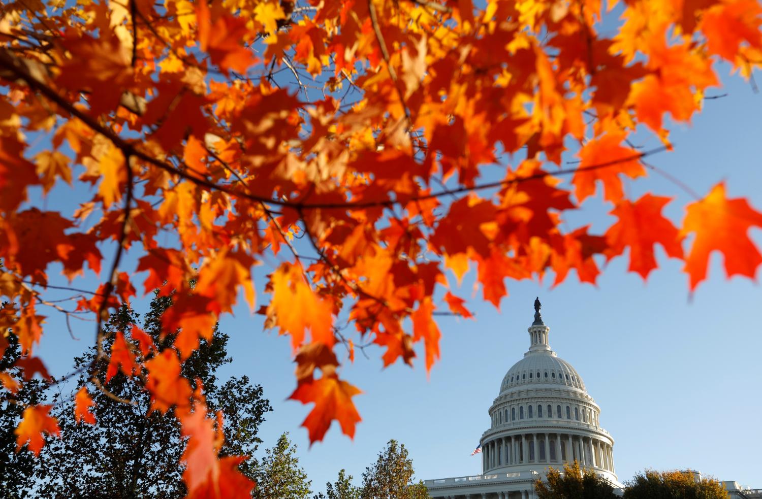 A day after the mid-term election, the dome of the U.S. Capitol is seen through autumn leaves in Washington, U.S., November 7, 2018. REUTERS/Kevin Lamarque - RC1622E7E000