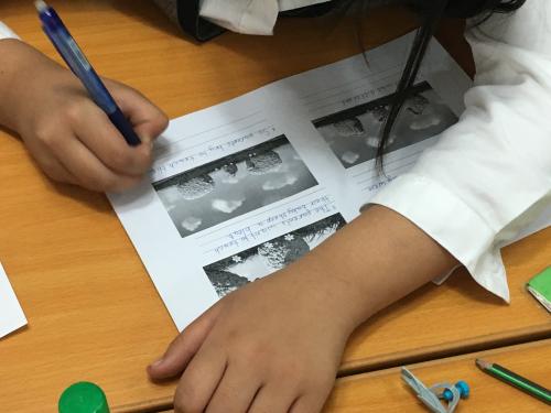 Mongolian student studying