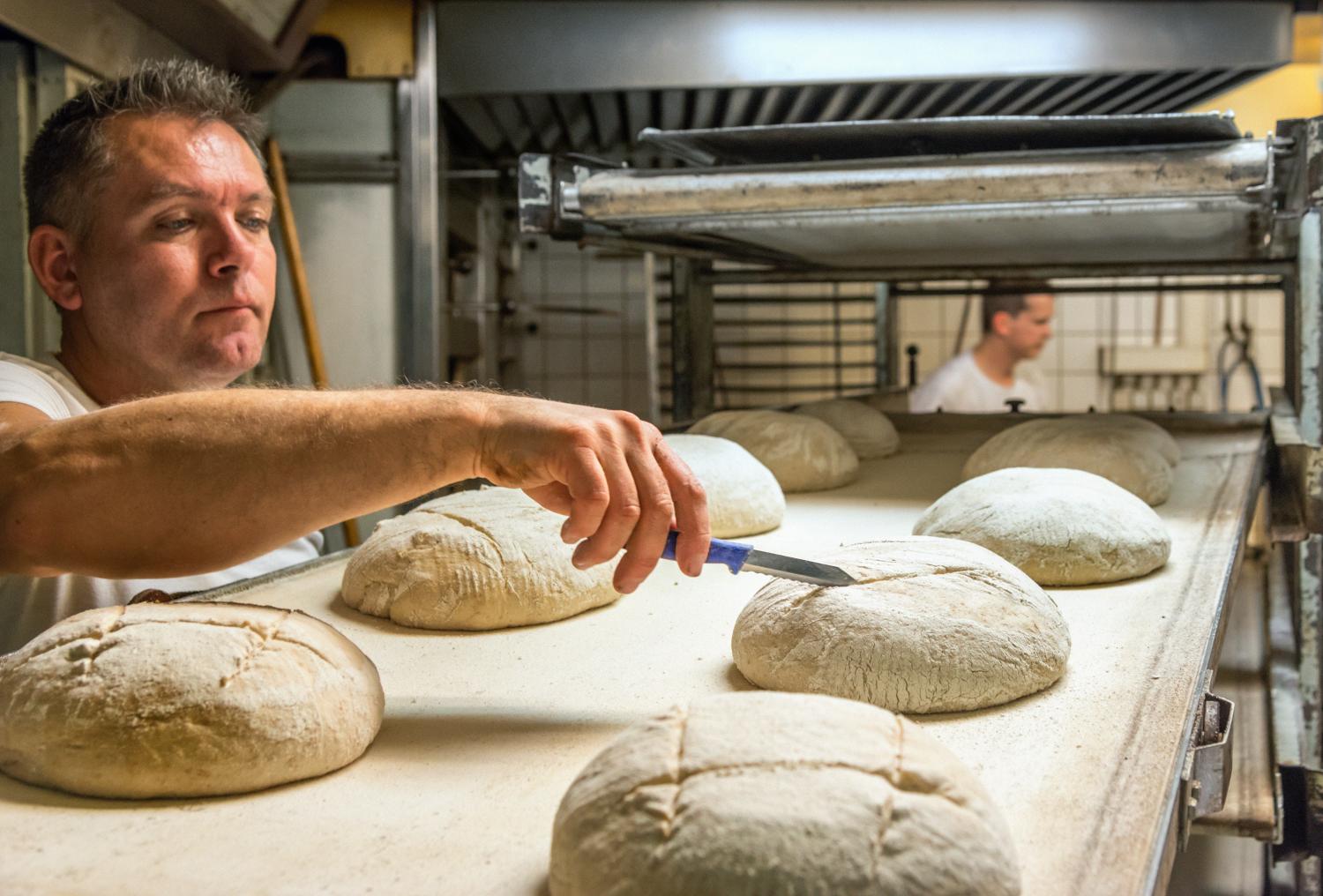 Baker is preparing bread, by slicing it a little with a knife before entering the  oven, stove