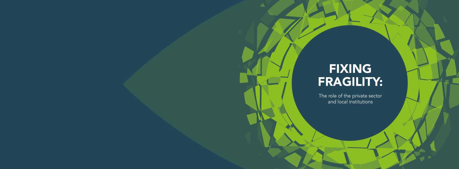 Foresight Africa chapter 4 web banner