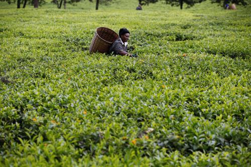 A woman picks tea leaves at a plantation in Kiambu County, near Nairobi, Kenya, April 26, 2018. REUTERS/Baz Ratner - RC17EE8756C0