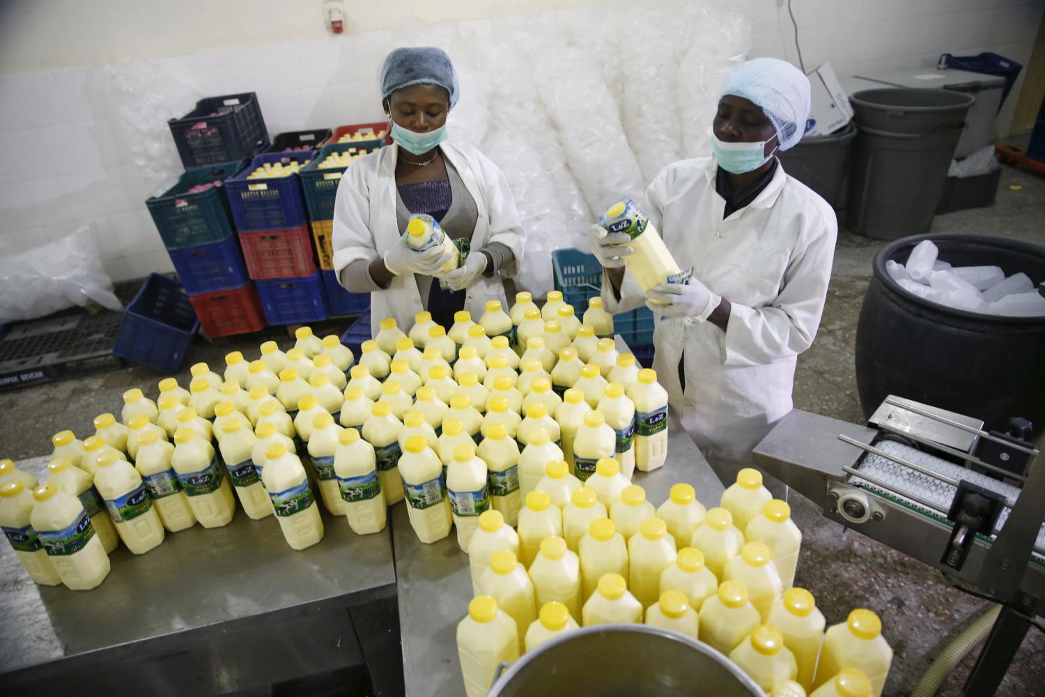 Dairy workers label plastic bottles of yoghurt milk at the L & Z milk processing factory in Nigeria's northern city of Kano January 19, 2016. REUTERS/Akintunde Akinleye - GF20000100143