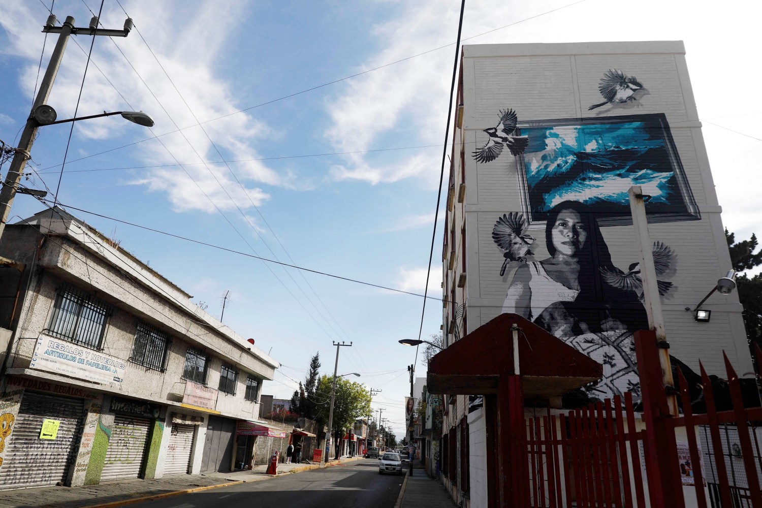 A mural depicting Yalitza Aparicio, lead actress in "Roma" movie directed by Alfonso Cuaron, is pictured in Iztapalapa neighborhood in Mexico City, Mexico, January 31, 2019. Picture taken January 31, 2019. REUTERS/Edgard Garrido - RC1FC931A680