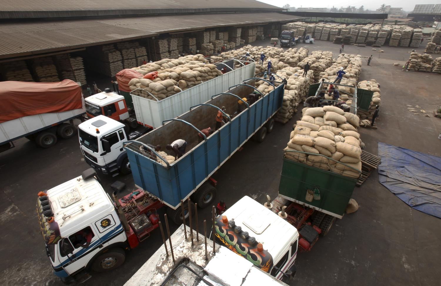 Workers unload bags of cocoa from trucks at SAF CACAO, an export firm in San-Pedro, Ivory Coast January 29, 2016. REUTERS/Thierry Gouegnon - GF10000289560