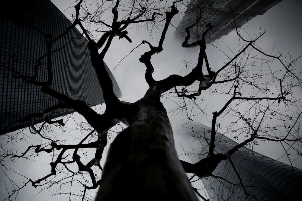 Skyscrapers Shanghai Tower (L), Jin Mao Tower (Top) and Shanghai World Financial Center are seen during a hazy day at the financial district of Pudong in Shanghai, China March 20, 2017. REUTERS/Aly Song - RC1CFB242650