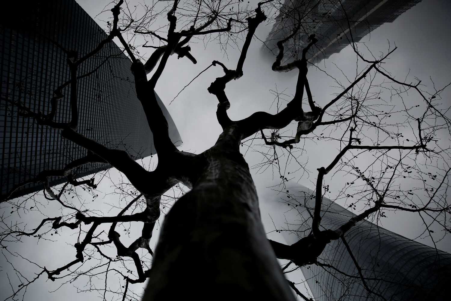 Skyscrapers Shanghai Tower (L), Jin Mao Tower (Top) and Shanghai World Financial Center are seen during a hazy day at the financial district of Pudong in Shanghai, China March 20, 2017. REUTERS/Aly Song - RC1CFB242650