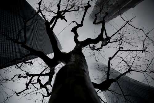 Skyscrapers Shanghai Tower (L), Jin Mao Tower (Top) and Shanghai World Financial Center are seen during a hazy day at the financial district of Pudong in Shanghai, China March 20, 2017. REUTERS/Aly Song - RC1CFB242650