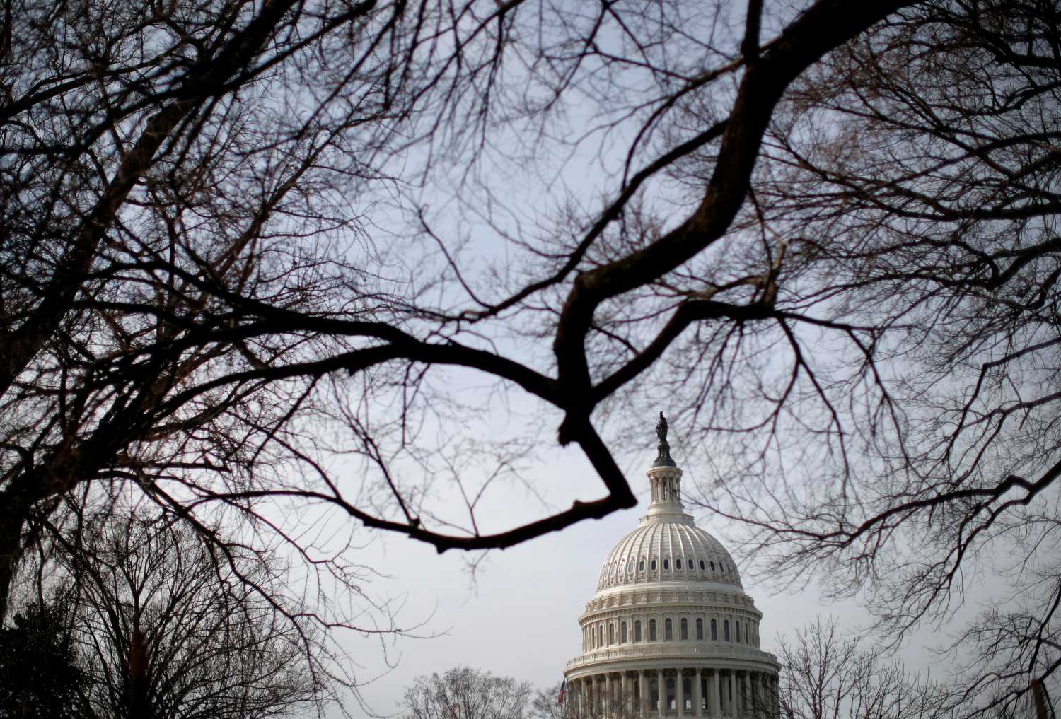 The U.S. Capitol is seen in Washington, U.S., February 26, 2019.      REUTERS/Jim Young - RC1480115B00