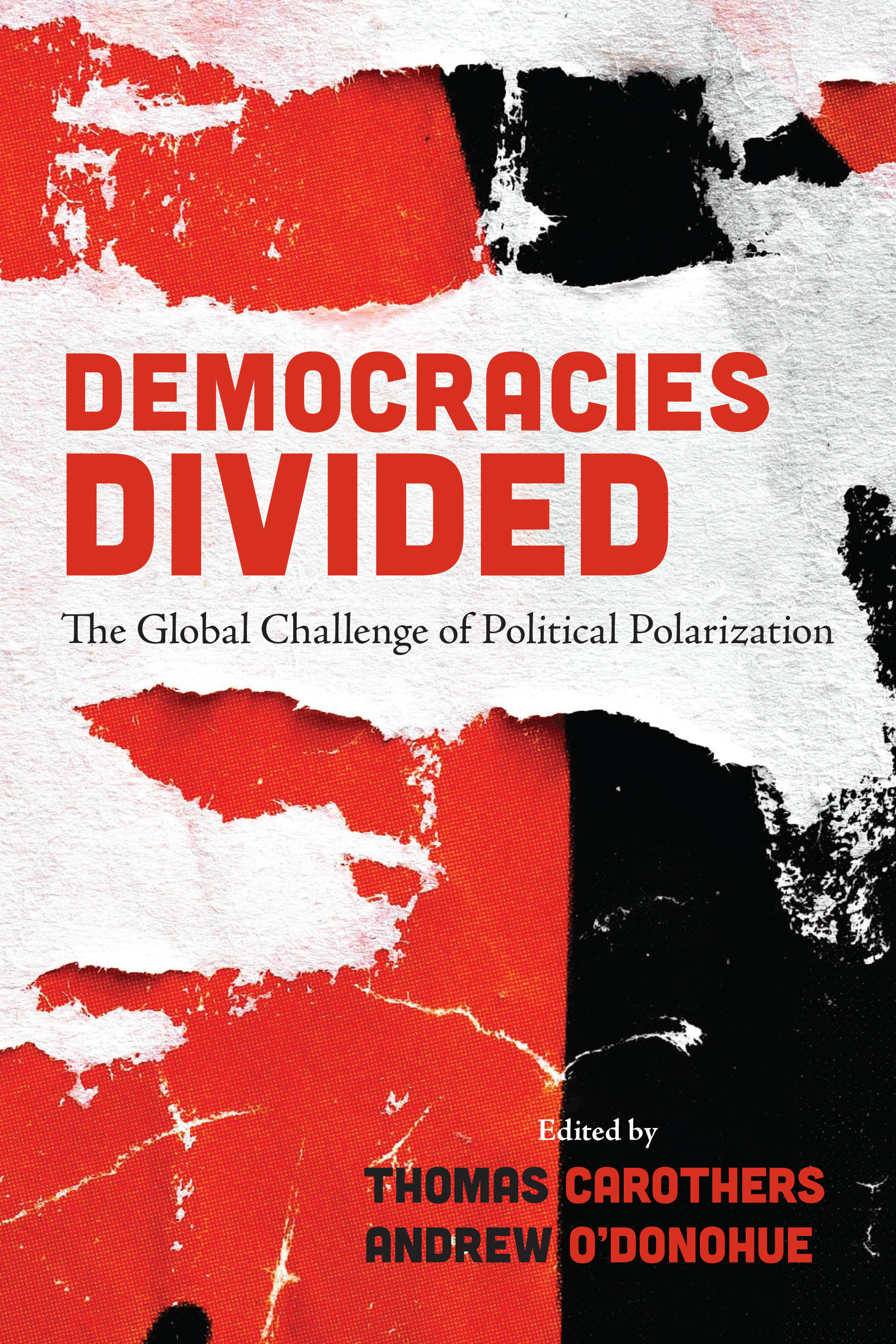 Cover: Democracies Divided