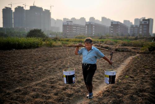 A man carries buckets of water at a vegetable field, near a new residential compound, in Hefei, Anhui province, November 13, 2013. The Chinese Communist Party said it would work to deepen fiscal and tax reform, establish a unified land market in cities and the countryside, give farmers more property rights, and develop a sustainable social security system - all seen as necessary for putting the world's second-largest economy on a more stable footing. REUTERS/Stringer (CHINA - Tags: AGRICULTURE SOCIETY POLITICS) - GM1E9BD1HLE01