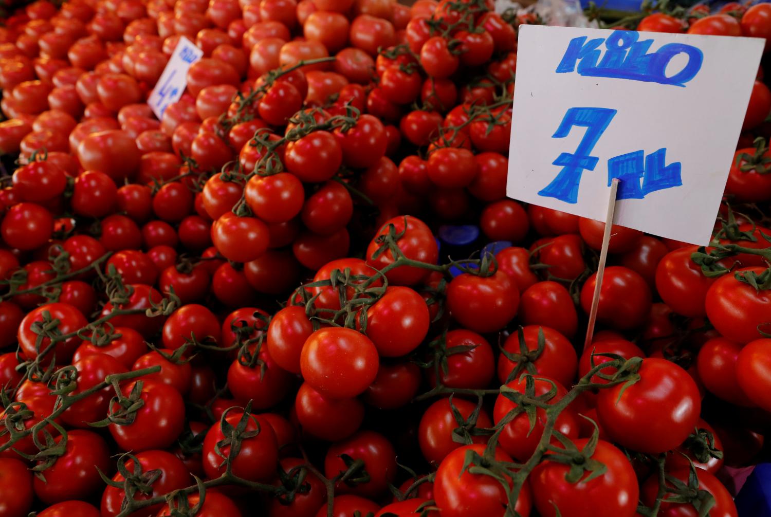 A card showing the price of tomatoes is seen at a food market in Istanbul, Turkey, February 11, 2019. REUTERS/Murad Sezer - RC13CDFC8430