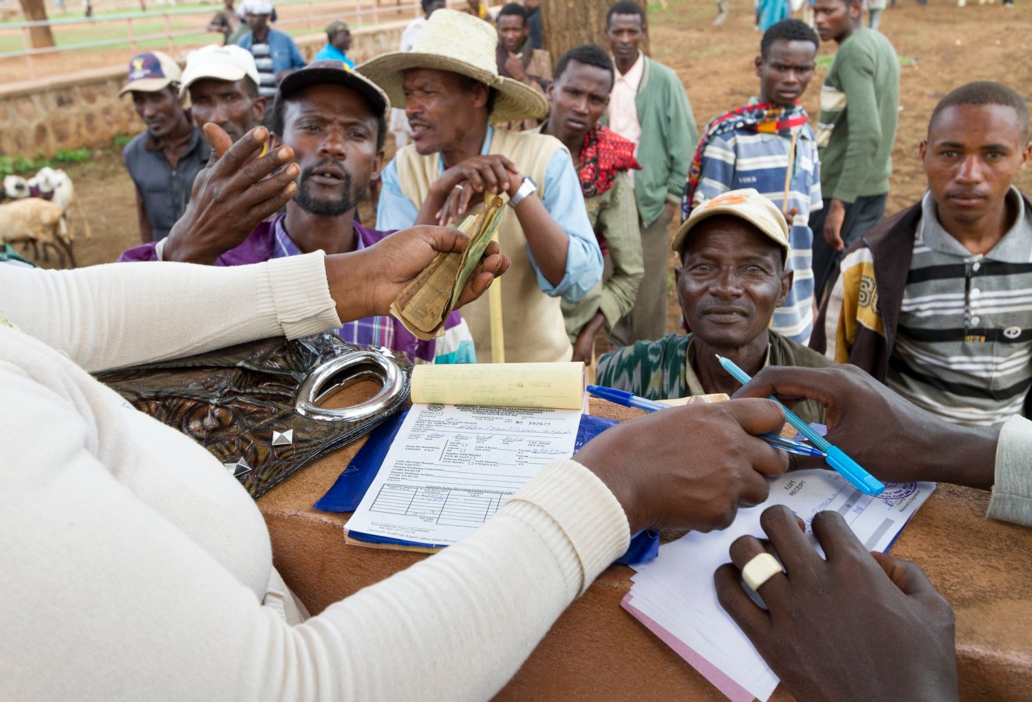 Traders pay taxes at a livestock market in Southern Ethiopia (photo credit: USAID Ethiopia, CC BY-NC 2.0)