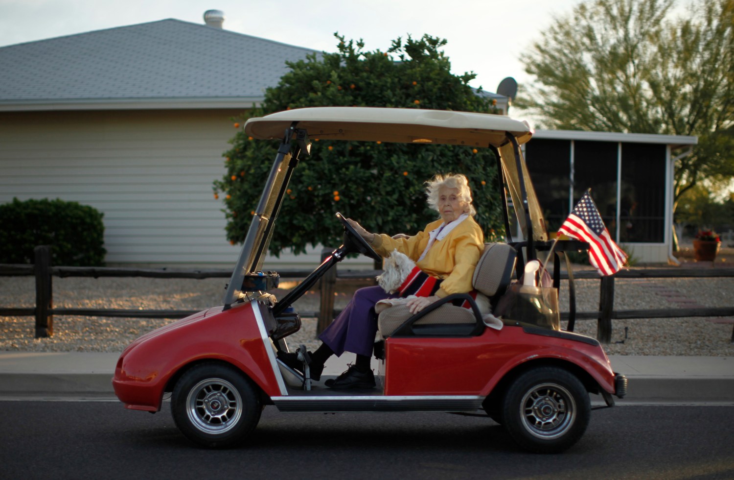A woman rides in a golf cart with her dog in Sun City, Arizona, January 6, 2013. Sun City was built in 1959 by entrepreneur Del Webb as America?s first active retirement community for the over-55's. Del Webb predicted that retirees would flock to a community where they were given more than just a house with a rocking chair in which to sit and wait to die. Today?s residents keep their minds and bodies active by socializing at over 120 clubs with activities such as square dancing, ceramics, roller skating, computers, cheerleading, racquetball and yoga. There are 38,500 residents in the community with an average age 72.4 years. Picture taken January 6, 2013. REUTERS/Lucy Nicholson (UNITED STATES - Tags: SOCIETY)ATTENTION EDITORS - PICTURE 16 OF 30 FOR PACKAGE 'THE SPORTY SENIORS OF SUN CITY'SEARCH 'SUN CITY' FOR ALL IMAGES - LM2E91F0XAN01
