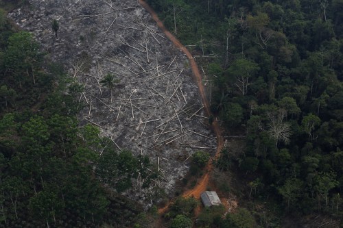 An aerial view of a deforested plot of the Amazon at the Bom Futuro National Forest in Porto Velho, Rondonia State, Brazil, September 3, 2015. Picture taken September 3, 2015. REUTERS/Nacho Doce - RC116E6EAAA0