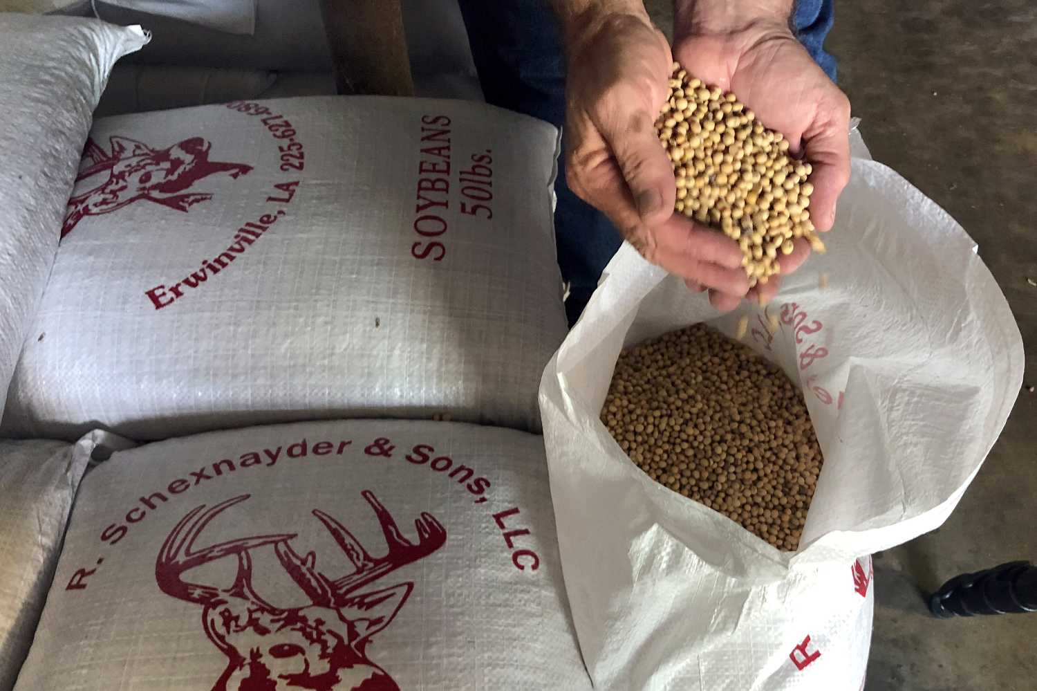 Soybean farmer Raymond Schexnayder Jr. holds soybeans from his farm outside Baton Rouge, in Erwinville, Louisiana, U.S., July 9,2018.   Picture taken July 9, 2018.   REUTERS/Aleksandra Michalska - RC1BAC1CF2F0