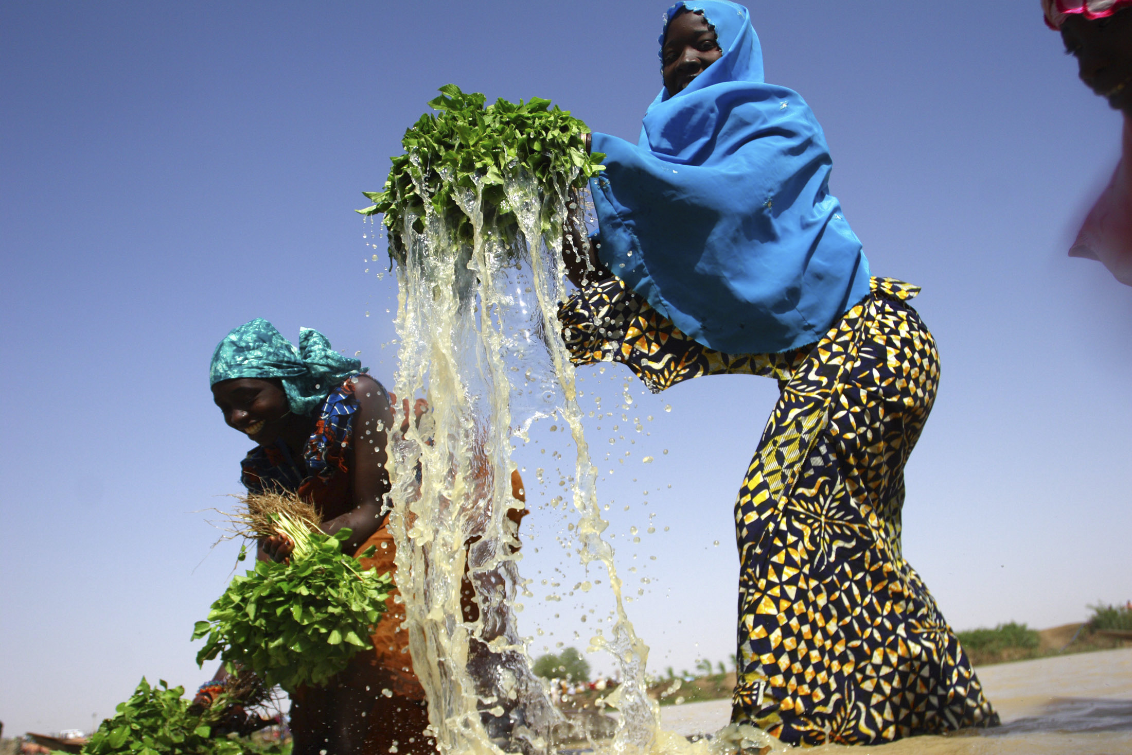 Africa's climate crisis, conflict, and migration challenges