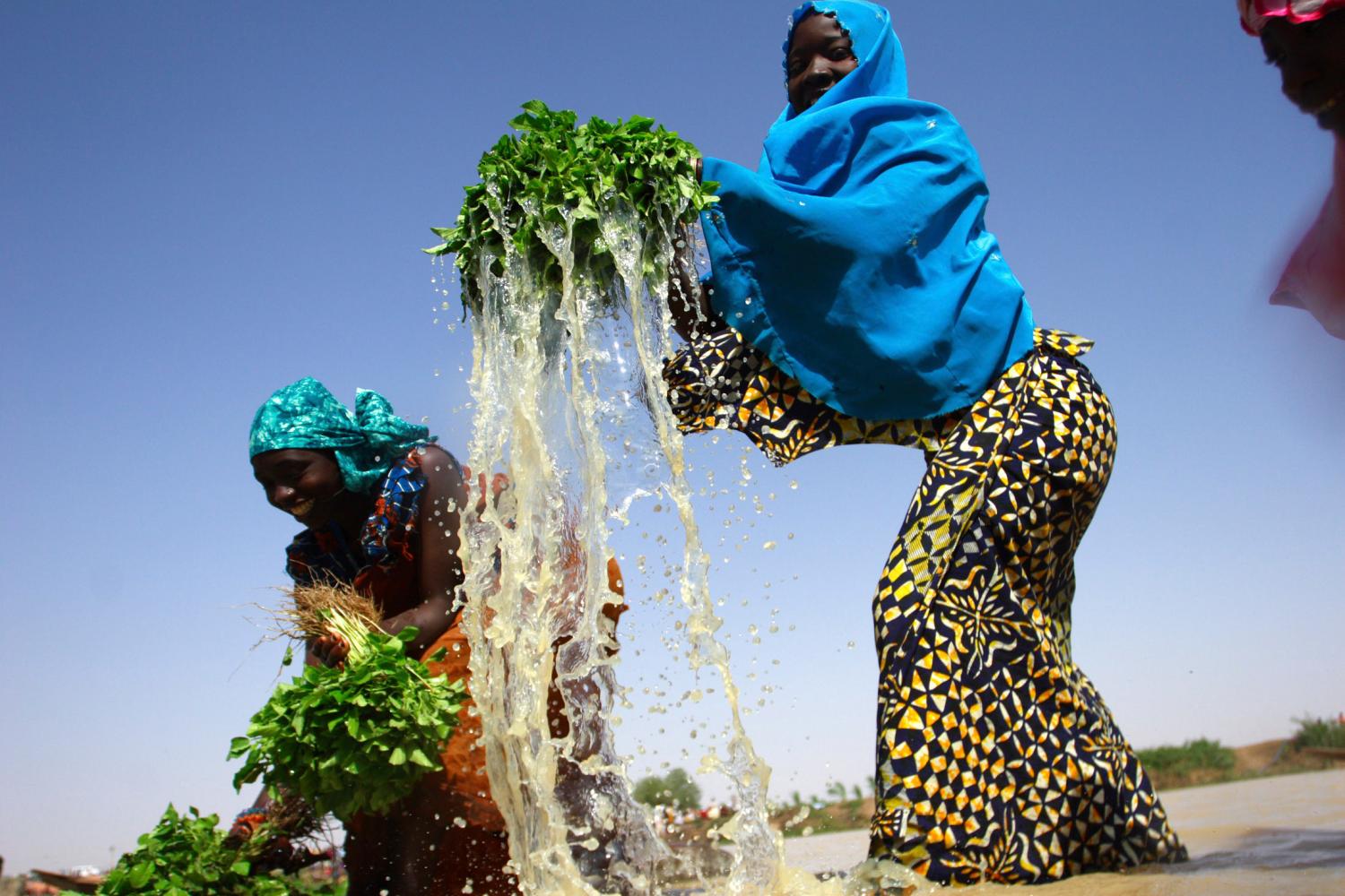 Women wash leaves on the bank of the Matan Fada river ahead of the Argungu fishing festival in Kebbi State, north-west Nigeria March 14, 2008. Hundreds of local fishermen from around Nigeria and other neighbouring countries of Niger and Mali are expected to participate in traditional bare-hand fishing at the annual Argungu fishing festival. REUTERS/Akintunde Akinleye (NIGERIA) - GM1E43E1QW301