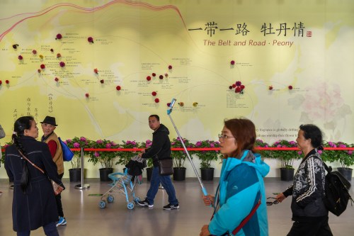 Visitors walk past a wall with a map showing the species of peony in Belt and Road Initiative (BRI) countries, at horticultural exhibition Beijing Expo 2019, in Beijing, China April 29, 2019. Picture taken April 29, 2019. REUTERS/Stringer ATTENTION EDITORS - THIS IMAGE WAS PROVIDED BY A THIRD PARTY. CHINA OUT. - RC1FBEBC8750