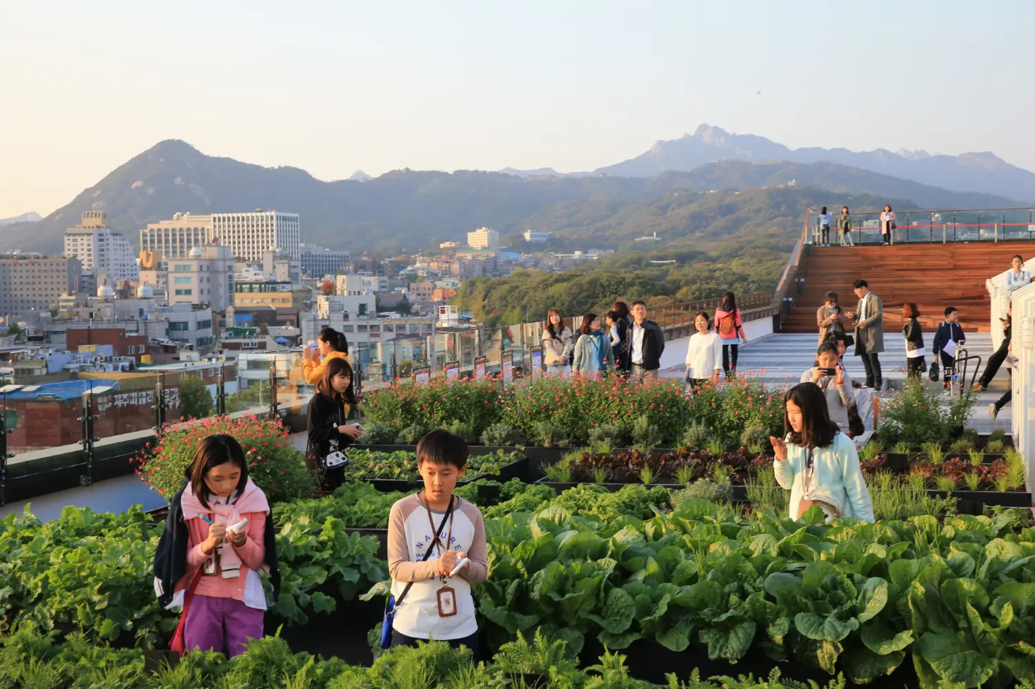 Sewoon rooftop