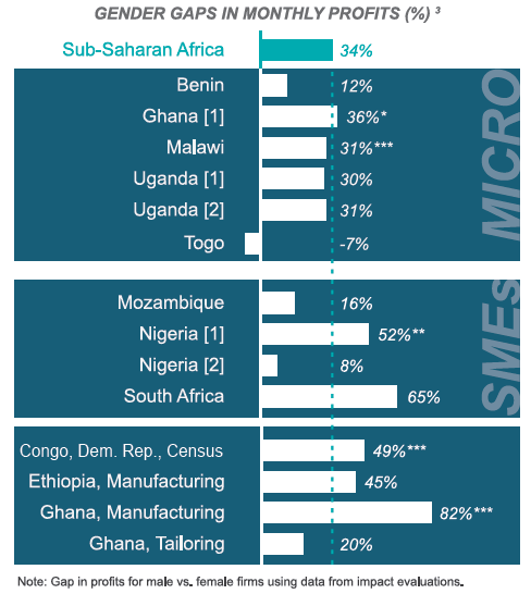 Figure 1 Gender gaps in profits for entrepreneurs