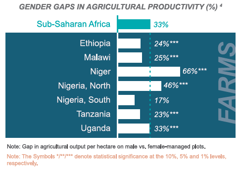 Figure 2 Gender gaps in agricultural productivity