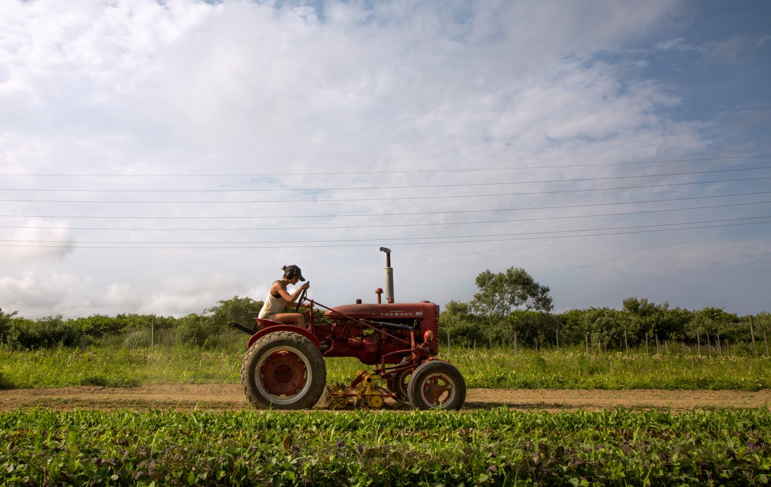 REFILE - CORRECTING ID Farmer Isabel Milligan drives a tractor as she weeds and transplants crops on the farm in Amagansett, New York, U.S., July 11, 2019. Picture taken July 11, 2019.   REUTERS/Lindsay Morris - RC1B9CA1E620