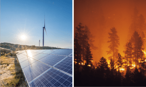 Solar panels & forest fires